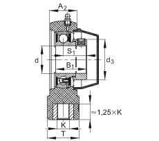PTUE30-TV-FA125.5轴承